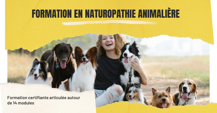 Formation en ligne naturopathie animale